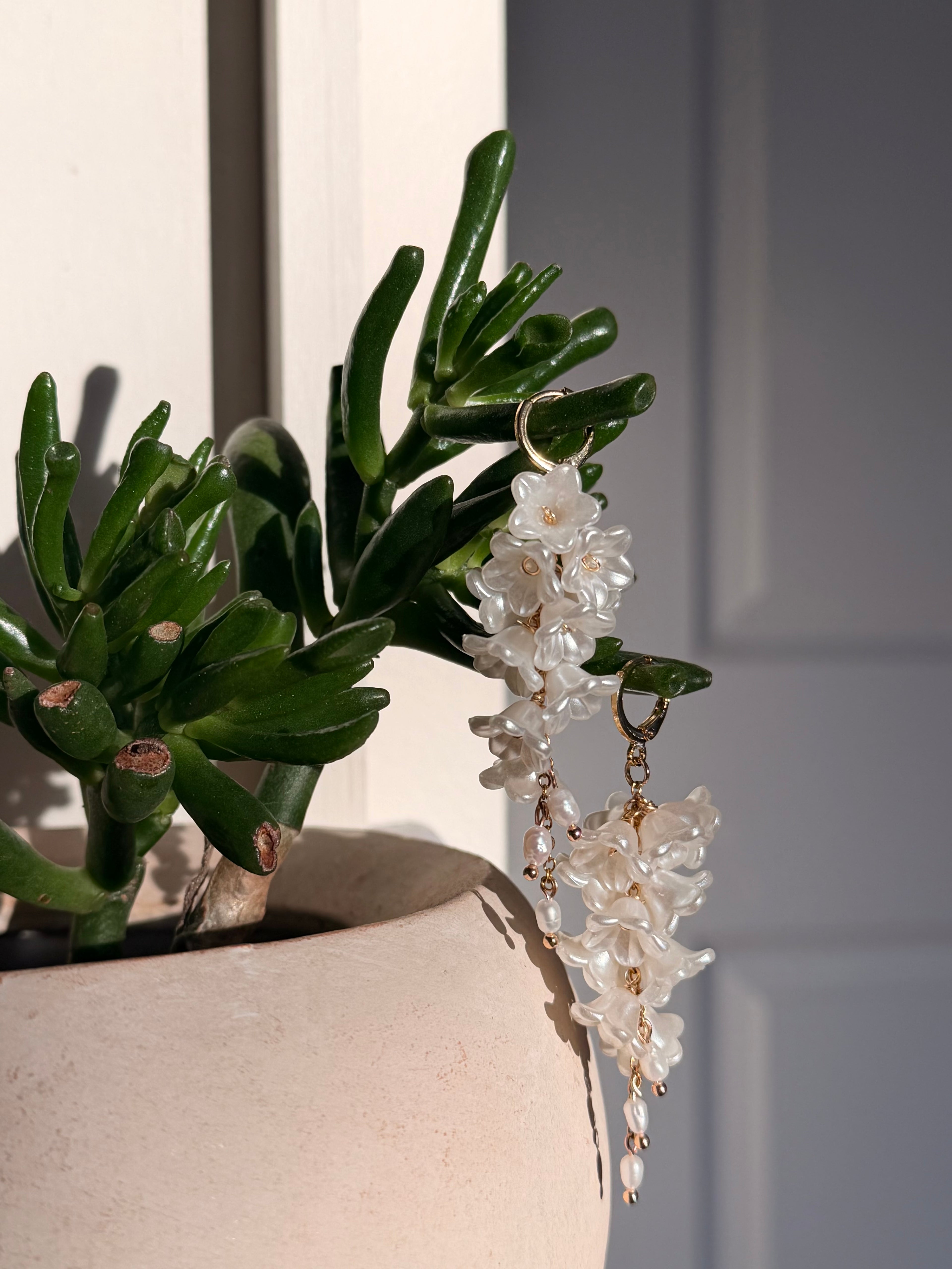 Wisteria Dangles